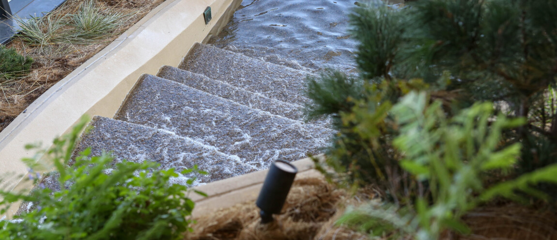 Water flowing down stone steps surrounded by plants