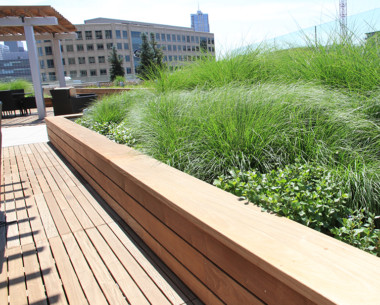 Green Roof with Plants